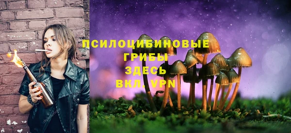 твердый Рославль